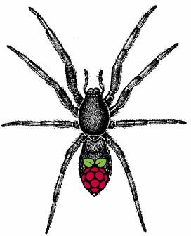 pi-tail-logo